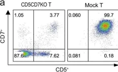 Fig.1.A showing Flow cytometry/Cell sorting from the publication: T cells expressing CD5/CD7 bispecific chimeric antigen receptors with fully human heavy-chain-only domains mitigate tumor antigen escape.