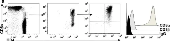 Fig.6.A showing Flow cytometry/Cell sorting from the publication: CD4CD8αα lymphocytes, a novel human regulatory T cell subset induced by colonic bacteria and deficient in patients with inflammatory bowel disease.
