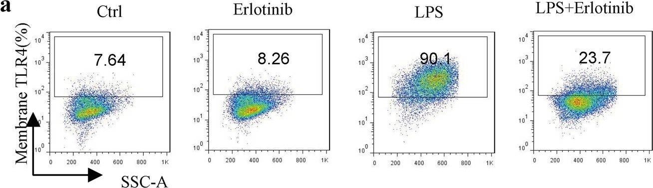 Fig.4.A showing Flow cytometry/Cell sorting in a Homo sapiens (Human) sample from the publication: Erlotinib protests against LPS-induced parthanatos through inhibiting macrophage surface TLR4 expression.
