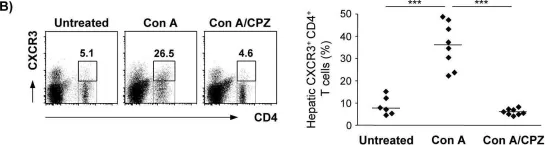 Fig.7.B showing Flow cytometry/Cell sorting from the publication: Chemokine Transfer by Liver Sinusoidal Endothelial Cells Contributes to the Recruitment of CD4+ T Cells into the Murine Liver.