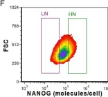 Fig.4.F showing Flow cytometry/Cell sorting from the publication: Contribution of stochastic partitioning at human embryonic stem cell division to NANOG heterogeneity.