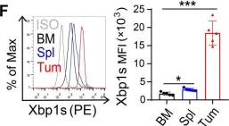 Fig.5.F showing Flow cytometry/Cell sorting from the publication: Fibrinogen-like protein 2 promotes tumor immune suppression by regulating cholesterol metabolism in myeloid-derived suppressor cells.