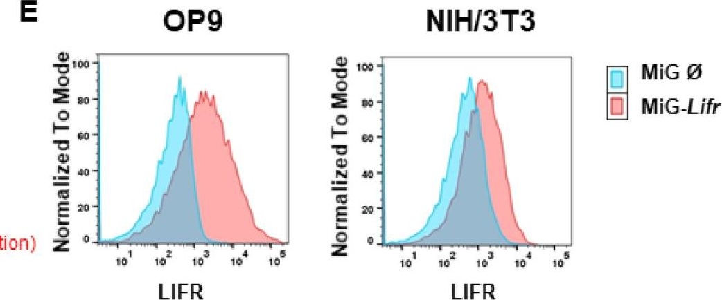 Fig.3.E showing Flow cytometry/Cell sorting in a Mus musculus (House mouse) sample from the publication: Murine Oncostatin M Has Opposing Effects on the Proliferation of OP9 Bone Marrow Stromal Cells and NIH/3T3 Fibroblasts Signaling through the OSMR.