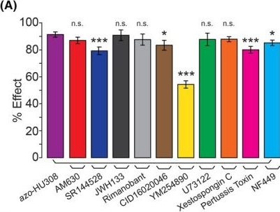 Fig.2.A from the publication: The photoswitchable cannabinoid azo-HU308 enables optical control of Ca2+ dynamics in INS-1 β-cells via off-target effects on TRPC channels.
