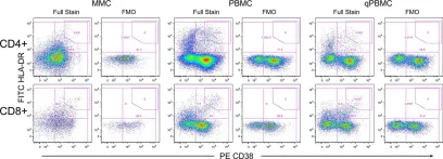 Fig.2.C showing Flow cytometry/Cell sorting in a Homo sapiens (Human) sample from the publication: Exploring the feasibility of multi-site flow cytometric processing of gut associated lymphoid tissue with centralized data analysis for multi-site clinical trials.
