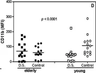 Fig.2.D showing Flow cytometry/Cell sorting in a Homo sapiens (Human) sample from the publication: Ageing exacerbates damage of systemic and salivary neutrophils from patients presenting Candida-related denture stomatitis.