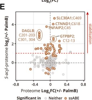 Fig.5.E from the publication: Long-Chain S-Acylation Is a Key Modulator During the Macrophage Inflammatory Response.