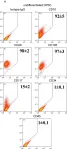 Fig.4.A showing Flow cytometry/Cell sorting in a Homo sapiens (Human) sample from the publication: Dental pulp stem cells differentiation reveals new insights in Oct4A dynamics.