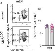 Fig.2.D showing Flow cytometry/Cell sorting in a Mus musculus (House mouse) sample from the publication: Dominant immune tolerance in the intestinal tract imposed by RelB-dependent migratory dendritic cells regulates protective type 2 immunity.