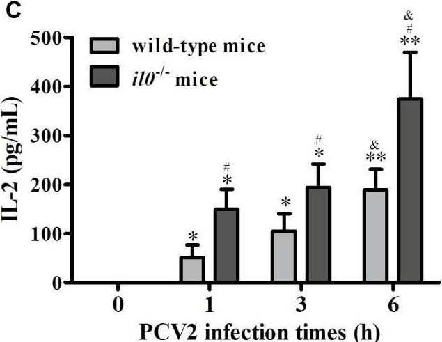 Fig.1.C showing Enzyme-linked immunosorbent assay from the publication: Interleukin-10 Promotes Porcine Circovirus Type 2 Persistent Infection in Mice and Aggravates the Tissue Lesions by Suppression of T Cell Infiltration.