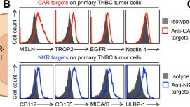 Fig.1.B showing Flow cytometry/Cell sorting in a Homo sapiens (Human) sample from the publication: Targeting triple-negative breast cancer using cord-blood CD34⁺ HSPC-derived mesothelin-specific CAR-NKT cells with potent antitumor activity.