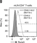 Fig.7.G showing Flow cytometry/Cell sorting in a Mus musculus (House mouse) sample from the publication: Bcl11b is essential for licensing Th2 differentiation during helminth infection and allergic asthma.