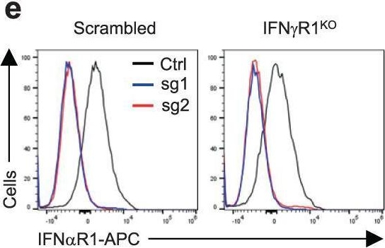 Fig.4.E showing Flow cytometry/Cell sorting from the publication: Selective suppression of melanoma lacking IFN-γ pathway by JAK inhibition depends on T cells and host TNF signaling.