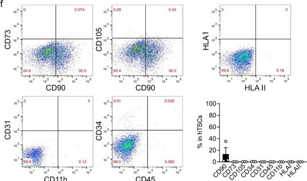 Fig.1.F showing Flow cytometry/Cell sorting in a Homo sapiens (Human) sample from the publication: Therapeutic impact of human trophoblast stem cells in peritoneal and pneumonia-induced sepsis in mice.