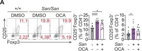 Fig.9.A showing Flow cytometry/Cell sorting in a Mus musculus (House mouse) sample from the publication: Obeticholic acid alleviates lupus pathology by inhibiting T follicular helper cell differentiation.