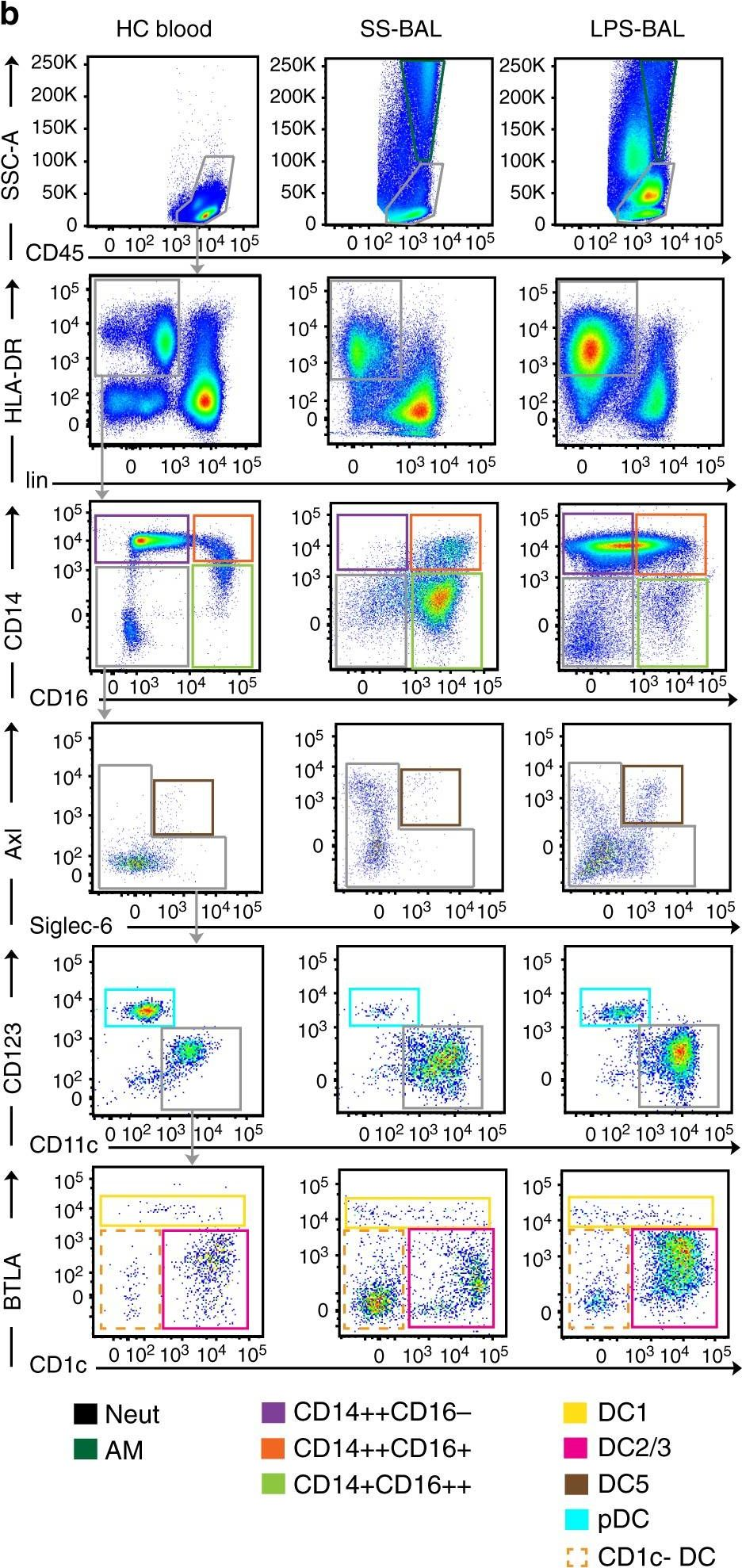 Fig.1.B showing Flow cytometry/Cell sorting in a Homo sapiens (Human) sample from the publication: Lipopolysaccharide inhalation recruits monocytes and dendritic cell subsets to the alveolar airspace.