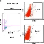 Fig.4.B showing Flow cytometry/Cell sorting from the publication: LGR5 promotes cancer stem cell traits and chemoresistance in cervical cancer.