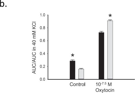 Fig.5.B from the publication: Voltage-Gated Calcium Channels and the Parity-Dependent Differential Uterine Response to Oxytocin in Rats.