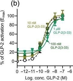 Fig.4.B from the publication: N-terminal alterations turn the gut hormone GLP-2 into an antagonist with gradual loss of GLP-2 receptor selectivity towards more GLP-1 receptor interaction.