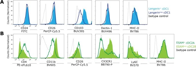 Fig.3.A showing Flow cytometry/Cell sorting in a Mus musculus (House mouse) sample from the publication: Multiparameter Flow Cytometric Analysis of the Conventional and Monocyte-Derived DC Compartment in the Murine Spleen.