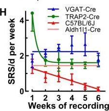 Fig.5.H from the publication: Spontaneous Seizure Outcomes in Mice Using an Improved Version of the Pilocarpine Model of Temporal Lobe Epilepsy.