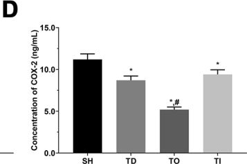 Fig.10.D showing Enzyme-linked immunosorbent assay from the publication: Overexpression of RAPGEF3 enhances the therapeutic effect of dezocine in treatment of neuropathic pain.