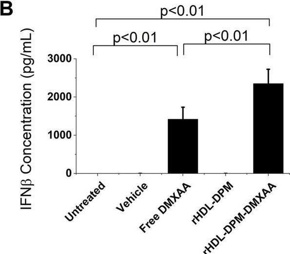 Fig.2.B showing Enzyme-linked immunosorbent assay from the publication: Mannose-functionalization of reconstituted high-density lipoprotein nanoparticles improves payload delivery and enhances M2-to-M1 phenotype reprogramming of RAW 264.7 macrophages polarized by B16-F10 melanoma cells.