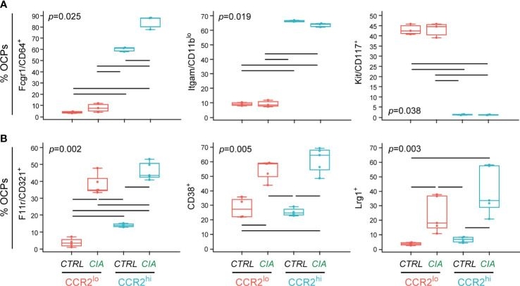 Fig.6.A showing Flow cytometry/Cell sorting in a Mus musculus (House mouse) sample from the publication: Transcriptome profiling of osteoclast subsets associated with arthritis: A pathogenic role of CCR2hi osteoclast progenitors.