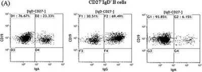 Fig.2.A showing Flow cytometry/Cell sorting in a Homo sapiens (Human) sample from the publication: CD27-IgD- memory B cells are modulated by in vivo interleukin-6 receptor (IL-6R) blockade in rheumatoid arthritis.