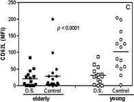 Fig.2.C showing Flow cytometry/Cell sorting in a Homo sapiens (Human) sample from the publication: Ageing exacerbates damage of systemic and salivary neutrophils from patients presenting Candida-related denture stomatitis.