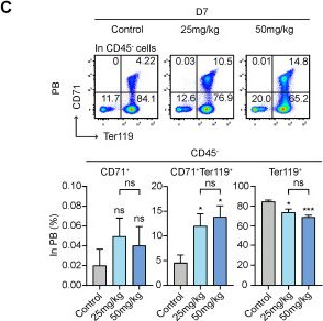 Fig.5.C showing Flow cytometry/Cell sorting in a Mus musculus (House mouse) sample from the publication: MCL-1 Inhibitor S63845 Distinctively Affects Intramedullary and Extramedullary Hematopoiesis.