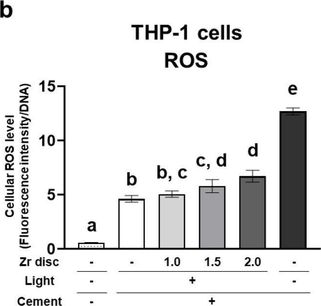 Fig.6.B from the publication: Incomplete Polymerization of Dual-Cured Resin Cement Due to Attenuated Light through Zirconia Induces Inflammatory Responses.