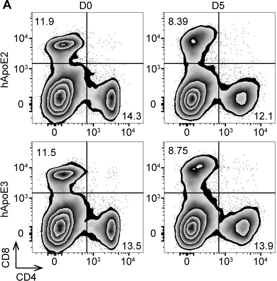 Fig.5.A showing Flow cytometry/Cell sorting in a Mus musculus (House mouse) sample from the publication: Human ApoE2 protects mice against Plasmodium berghei ANKA experimental cerebral malaria.