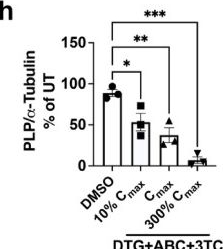 Fig.1.H from the publication: Exposure to Frontline Antiretroviral Dolutegravir Disrupts Oligodendrocyte Development Across Differentiation Stages.