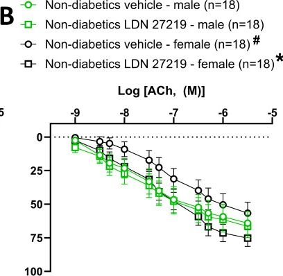 Fig.4.B from the publication: Sex-mediated effects of transglutaminase 2 inhibition on endothelial function in human resistance arteries from diabetic and non-diabetic patients.