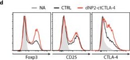 Fig.6.D showing Flow cytometry/Cell sorting from the publication: In Vivo Induction of Regulatory T Cells Via CTLA-4 Signaling Peptide to Control Autoimmune Encephalomyelitis and Prevent Disease Relapse.