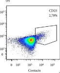 Fig.4.B showing Flow cytometry/Cell sorting in a Homo sapiens (Human) sample from the publication: Molecular Mechanisms of Immunomodulation Properties of Mesenchymal Stromal Cells: A New Insight into the Role of ICAM-1.