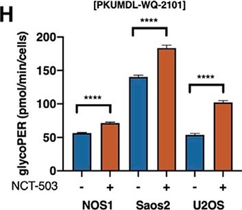 Fig.2.H from the publication: Metabolic compensation activates pro-survival mTORC1 signaling upon 3-phosphoglycerate dehydrogenase inhibition in osteosarcoma.
