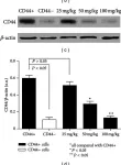 Fig.6.B showing Western Blotting from the publication: β -Elemene-Attenuated Tumor Angiogenesis by Targeting Notch-1 in Gastric Cancer Stem-Like Cells.
