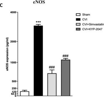 Fig.3.C showing Enzyme-linked immunosorbent assay from the publication: The Inhibition of Prolyl Oligopeptidase as New Target to Counteract Chronic Venous Insufficiency: Findings in a Mouse Model.