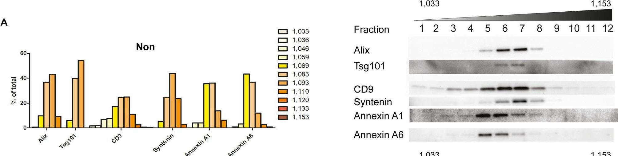 Fig.6.A showing Western Blotting from the publication: siRNA screening reveals that SNAP29 contributes to exosome release.
