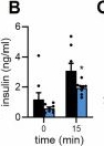 Fig.6.B showing Enzyme-linked immunosorbent assay from the publication: Purinergic adipocyte-macrophage crosstalk promotes degeneration of thermogenic brown adipose tissue.