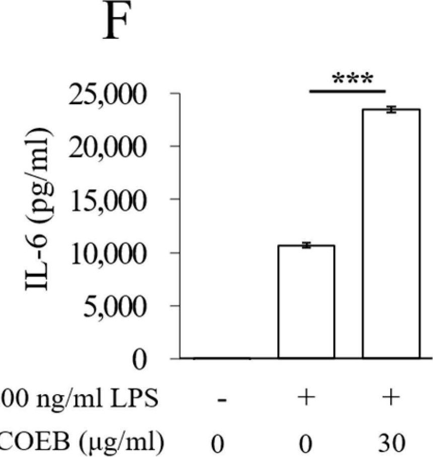 Fig.4.F showing Enzyme-linked immunosorbent assay from the publication: Bark Extracts of Chamaecyparis obtusa (Siebold &amp; Zucc.) Endl. Attenuate LPS-Induced Inflammatory Responses in RAW264.7 Macrophages.