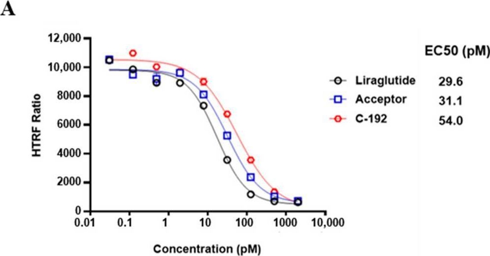 Fig.3.A from the publication: The Novel Tetra-Specific Drug C-192, Conjugated Using UniStac, Alleviates Non-Alcoholic Steatohepatitis in an MCD Diet-Induced Mouse Model.