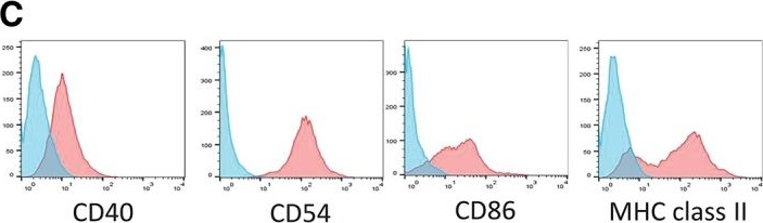 Fig.2.C showing Flow cytometry/Cell sorting from the publication: Induced pluripotent stem cells reprogrammed from primary dendritic cells provide an abundant source of immunostimulatory dendritic cells for use in immunotherapy.