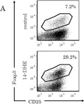 Fig.4.A showing Flow cytometry/Cell sorting in a Mus musculus (House mouse) sample from the publication: Identification of 14-dehydroergosterol as a novel anti-inflammatory compound inducing tolerogenic dendritic cells.