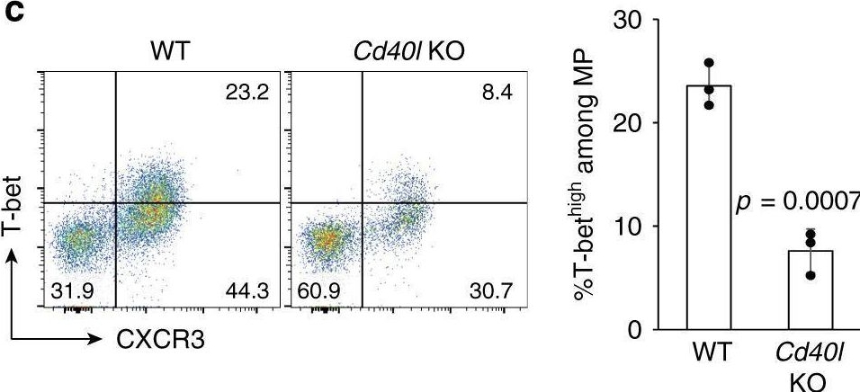 Fig.6.C showing Flow cytometry/Cell sorting in a Mus musculus (House mouse) sample from the publication: Requirements for the differentiation of innate T-bethigh memory-phenotype CD4+ T lymphocytes under steady state.