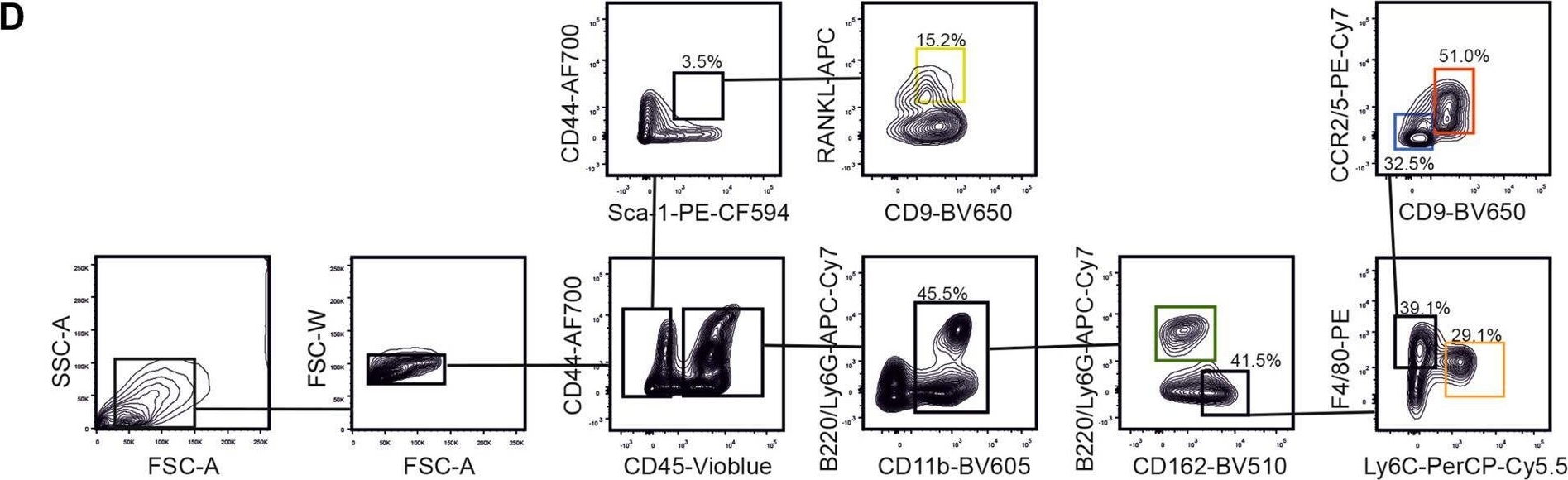 Fig.2.D showing Flow cytometry/Cell sorting in a Mus musculus (House mouse) sample from the publication: Fibrocytes boost tumor-supportive phenotypic switches in the lung cancer niche via the endothelin system.