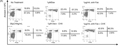 Fig.4.A showing Flow cytometry/Cell sorting from the publication: CD205 (DEC-205): a recognition receptor for apoptotic and necrotic self.