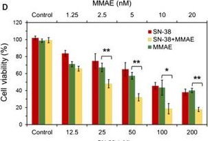 Fig.2.D from the publication: A novel chemotherapeutic protocol for peritoneal metastasis and inhibition of relapse in drug resistant ovarian cancer.